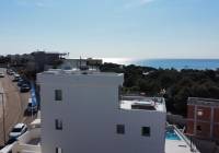 Nueva construcción  - Villa - Orihuela