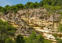 Nueva construcción  - Villa - Pinar de Campoverde