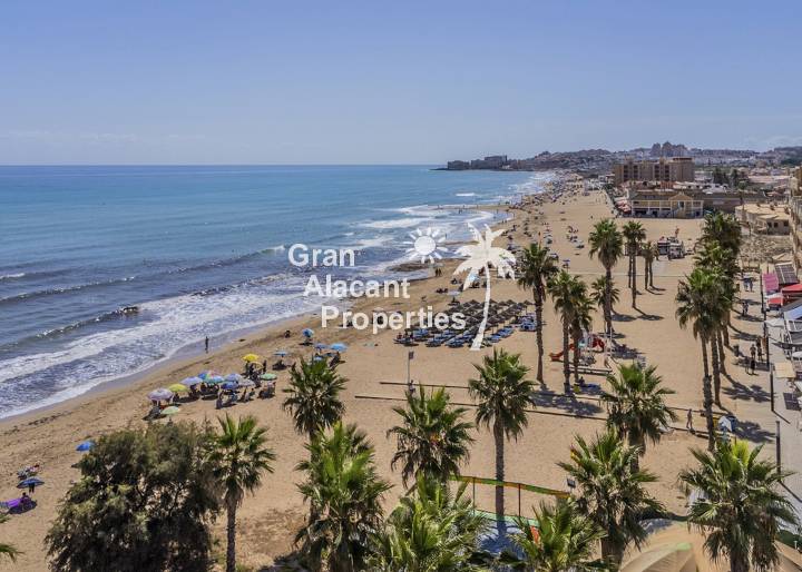 Penthouse - New Build - La Mata - La Mata