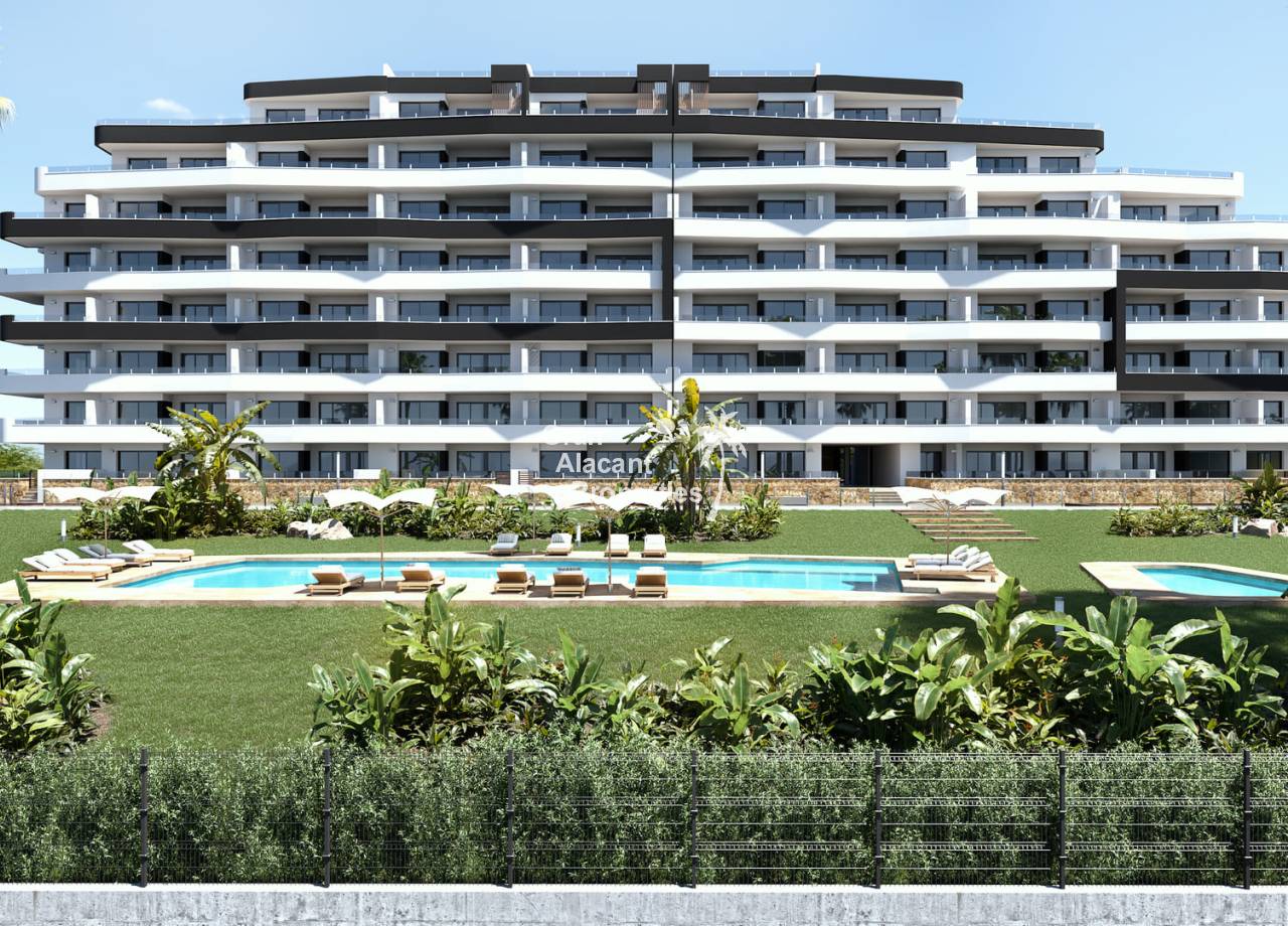 Penthouse - Nueva construcción  - San Miguel de Salinas - NB-37387