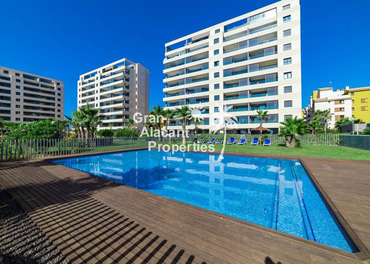 Penthouse - Nueva construcción  - Torrevieja - Torrevieja