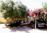 REF 10172 Bargain South-Facing Gran Alacant Villa thousand year olive