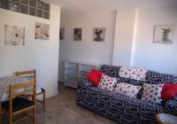 REF 10238 living room frontline beach apartment in Los Arenales del Sol