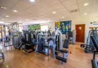 REF 10648 gym
