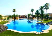 REF 10648 pool