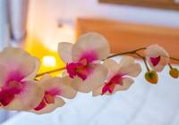 Sale - Apartment - Gran Alacant - Monte y Mar