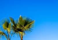 Sale - Apartment - Gran Alacant - Novamar