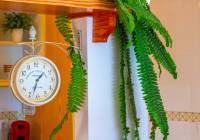 Sale - Apartment - Gran Alacant - Novamar