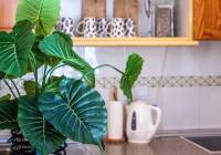 Sale - Apartment - Gran Alacant - Novamar