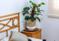 Sale - Apartment - Gran Alacant - Novamar