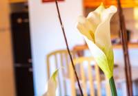 Sale - Apartment - Gran Alacant - Novamar