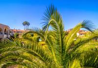 Sale - Apartment - Gran Alacant - Novamar