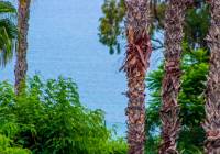 Sale - Corner House - Gran Alacant - Altomar I