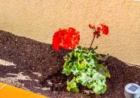 Sale - Semi Detached Villa - Gran Alacant - Brisas del Faro