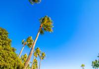 Sale - Semi Detached Villa - Gran Alacant - Brisas del Faro