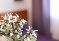 Sale - Townhouse - Gran Alacant - Costa Hispania