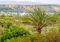Sale - Townhouse - Gran Alacant - Mediterráneo