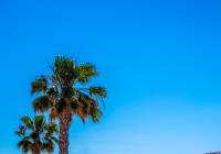 Sale - Townhouse - Gran Alacant - Monte y Mar