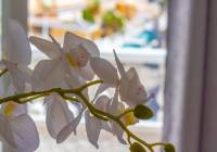 Sale - Townhouse - Gran Alacant - Monte y Mar