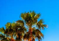 Sale - Townhouse - Gran Alacant - Monte y Mar