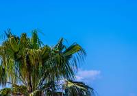 Sale - Townhouse - Gran Alacant - Monte y Mar