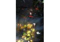 Sale - Villa - Alfaz del Pi - Albir