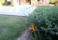Sale - Villa - Alicante - Alicante Golf