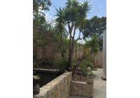 Sale - Villa - Alicante - Cabo Huertas