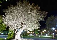 Sale - Villa - Elche - Perleta