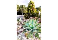 Sale - Villa - Elche - Perleta