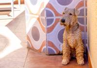 Sale - Villa - Gran Alacant - Brisas del Faro