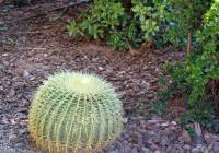 Sale - Villa - Gran Alacant - Isla de Izaro