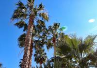 Sale - Villa - Gran Alacant - Isla de Izaro