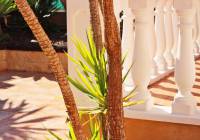 Sale - Villa - Gran Alacant - Isla de Izaro