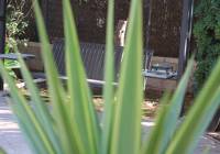 Sale - Villa - Gran Alacant - Isla de Izaro