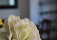 Sale - Villa - Gran Alacant - Isla de Izaro