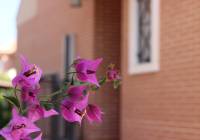 Sale - Villa - Gran Alacant - Isla de Izaro