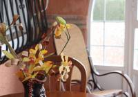 Sale - Villa - Gran Alacant - Monte y Mar