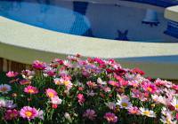 Sale - Villa - Gran Alacant - Monte y Mar