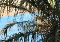 Sale - Villa - Gran Alacant - Monte y Mar