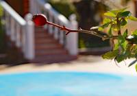 Sale - Villa - Gran Alacant - Monte y Mar