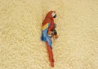 Sale - Villa - Gran Alacant - Monte y Mar