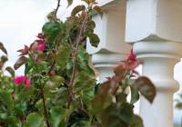 Sale - Villa - Gran Alacant - Monte y Mar