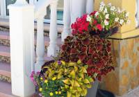 Sale - Villa - Gran Alacant - Monte y Mar