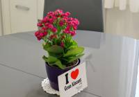 Sale - Villa - Gran Alacant - Monte y Mar