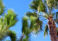 Sale - Villa - Gran Alacant - Monte y Mar