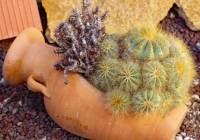 Sale - Villa - Gran Alacant - Monte y Mar