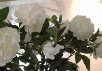 Sale - Villa - Gran Alacant - Monte y Mar