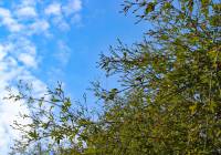 Sale - Villa - Gran Alacant - Monte y Mar