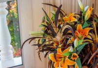 Sale - Villa - Gran Alacant - Monte y Mar